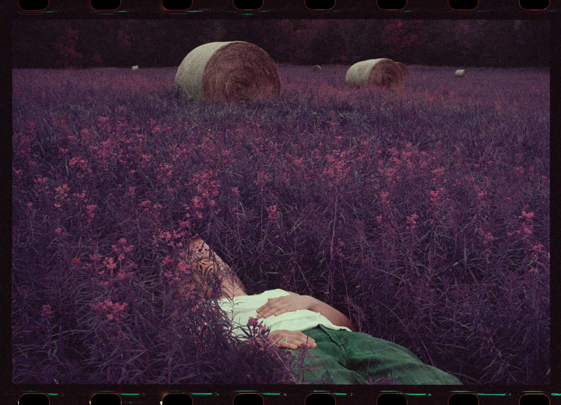 Queering Nature: The Landscape of Queer and Trans Masculinity, Desire, Sex, and The West - Maddie Provost